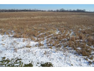 54.7 Acres with 50 tillable and 4.3 wooded.  Surrounded by heavy deer population on CRP land.  Great trophy deer hunting on established food plots.  Hunting tower.

Receive income on tillable acres while abundance of deer hunting on established food plot. - Great Investment Opportunity - Tillable Land, Recreation & Building Site